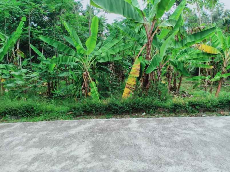 tanah mojogedang karanganyar