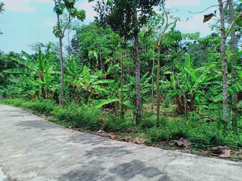 tanah mojogedang karanganyar