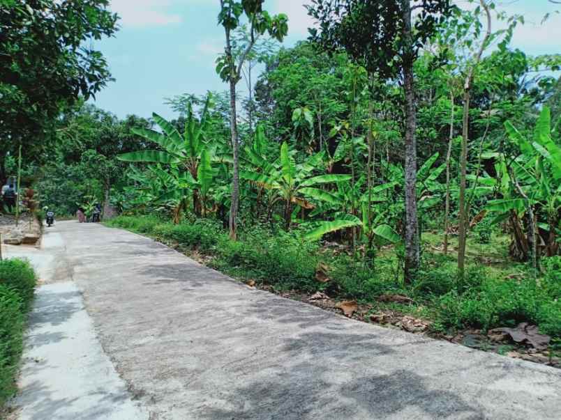 tanah mojogedang karanganyar