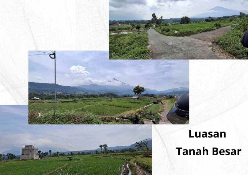 tanah murah kawasan wisata pacet