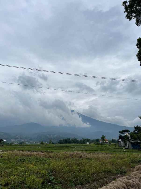 tanah murah kawasan wisata pacet