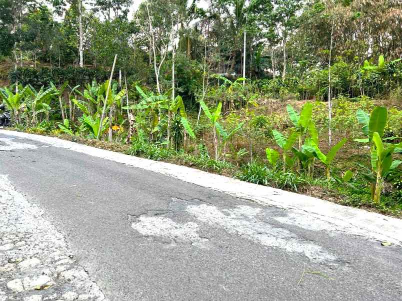 tanah pekarangan 2452m ngargoyoso karanganyar