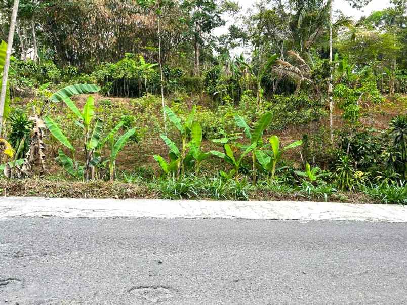 tanah pekarangan 2452m ngargoyoso karanganyar