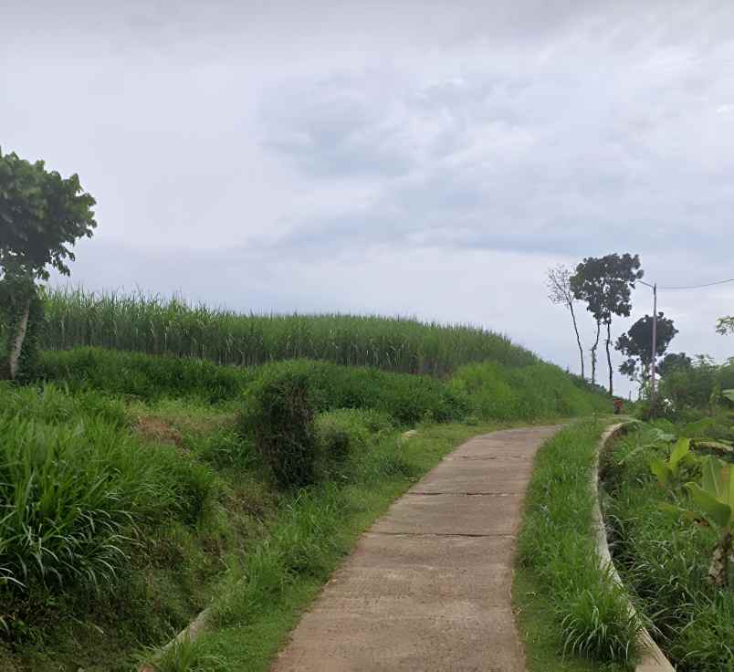 tanah pertanian subur mdpl 275