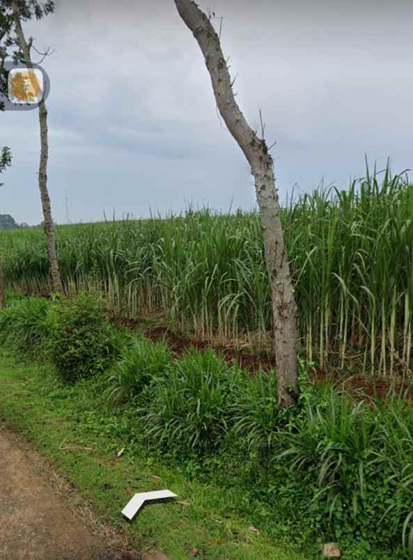 tanah pertanian subur mdpl 275