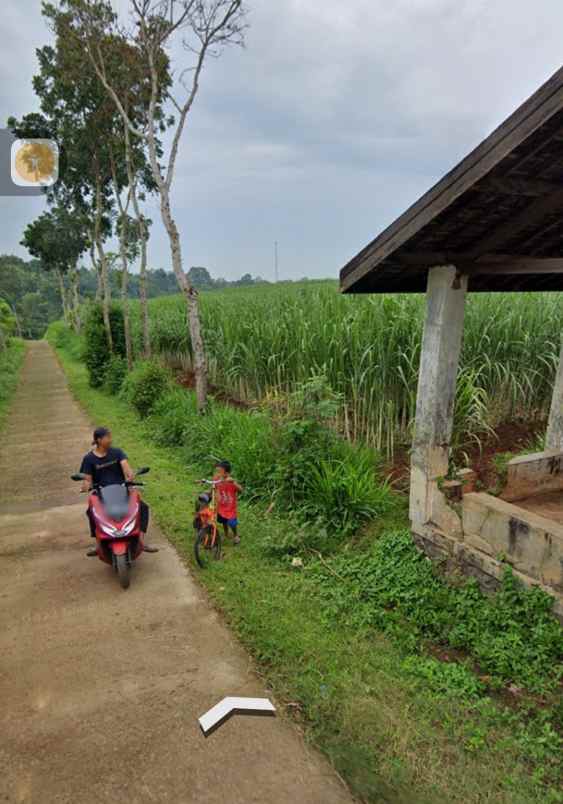 tanah pertanian subur mdpl 275