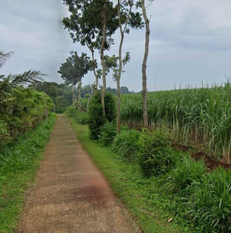 tanah pertanian subur mdpl 275