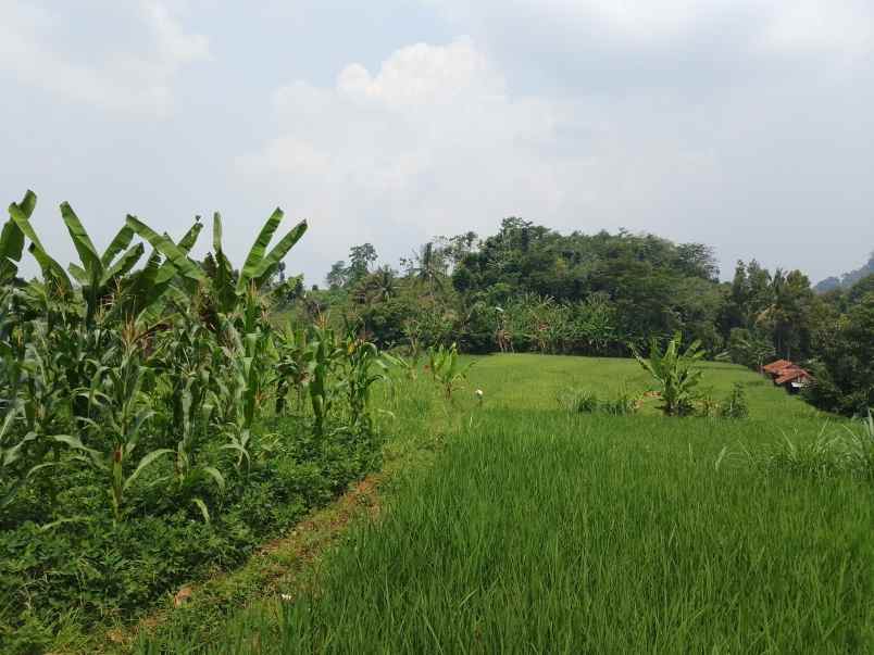 tanah produktif daerah sumedang jawa barat