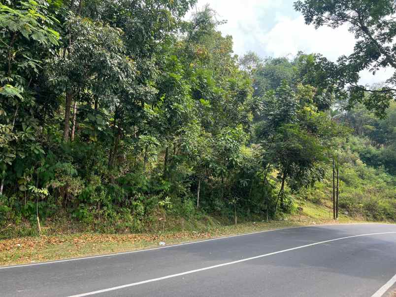tanah strategis 4300m tawangmangu