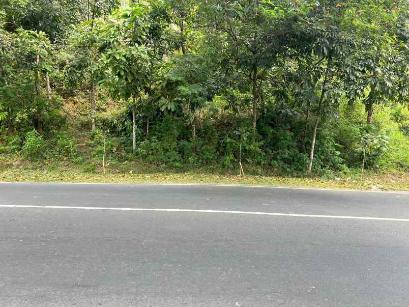 tanah strategis 4300m tawangmangu