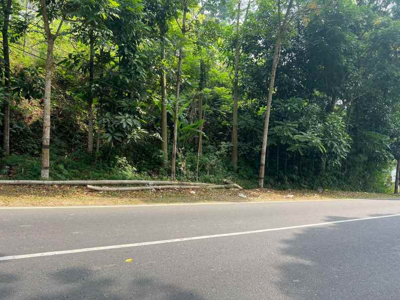 tanah strategis 4300m tawangmangu