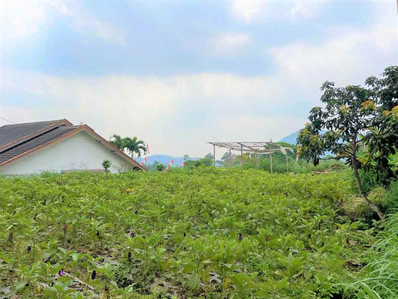 tanah strategis 930m kota wisata tawangmangu
