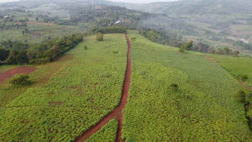 tanah sukaharja sukamakmur kab bogor