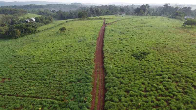 tanah sukaharja sukamakmur kab bogor