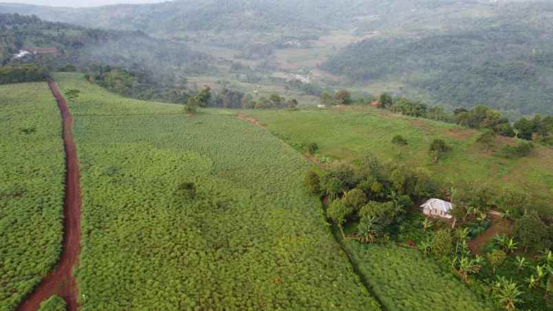 tanah sukaharja sukamakmur kab bogor