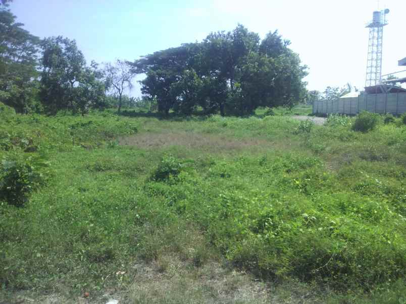 tanah tepi jalan raya pasuruan kota