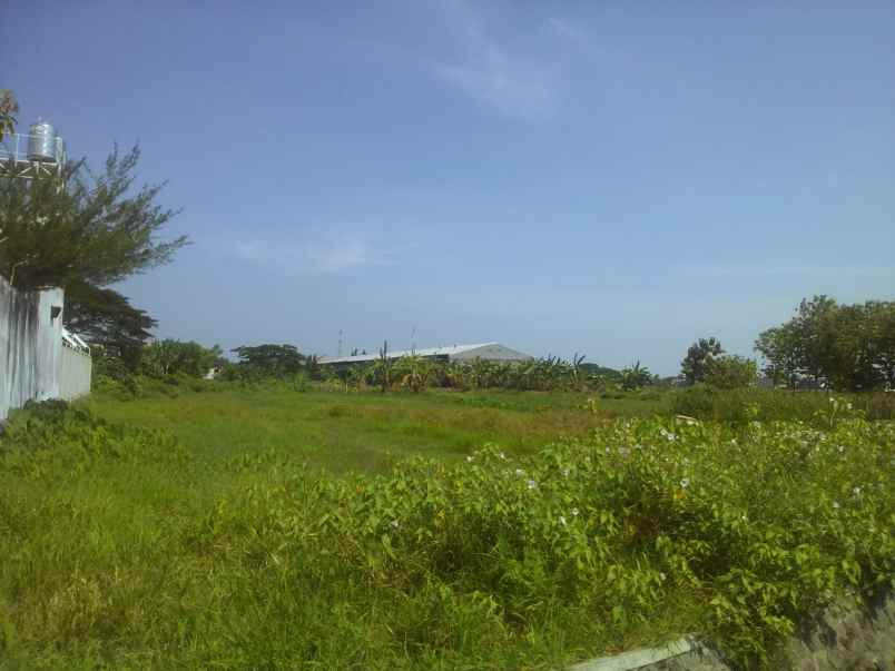 tanah tepi jalan raya pasuruan kota