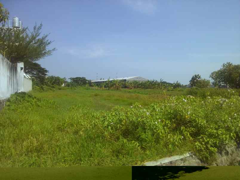 tanah tepi jalan raya pasuruan kota