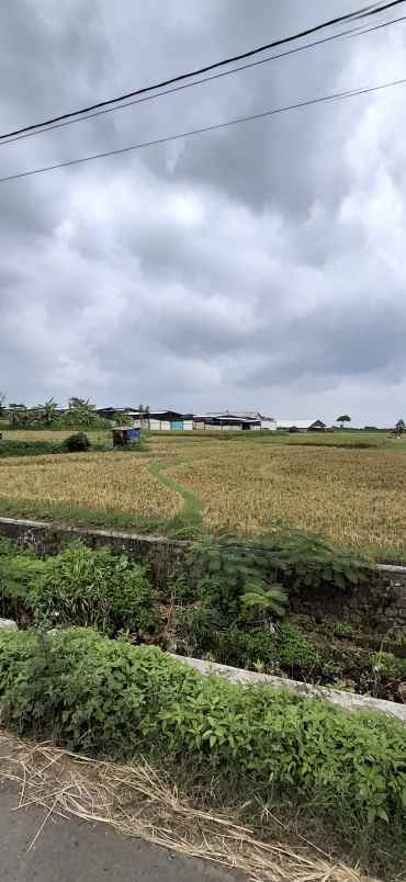 tanah ukuran besar villa pacet