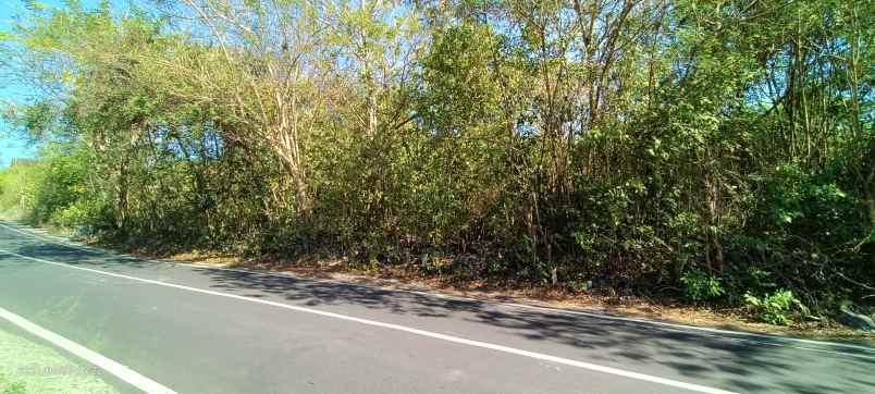 tanah view laut dijalan utama labuan sait bali