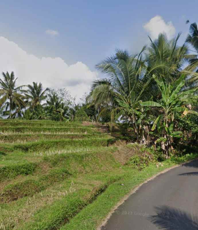 tanah view sawah dan laut di megati tabanan bali