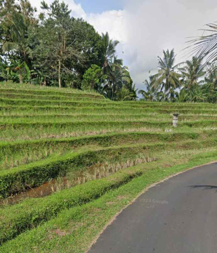 tanah view sawah dan laut di megati tabanan bali