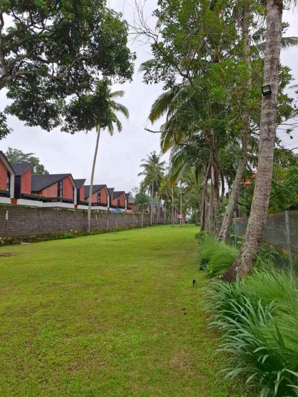 tanah yellow zone di kedewatan ubud bali