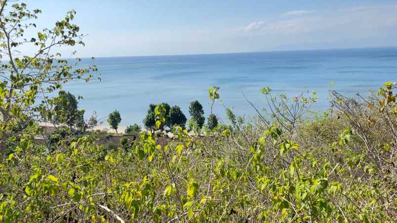 01 dijual tanah bukit di sekotong lombok