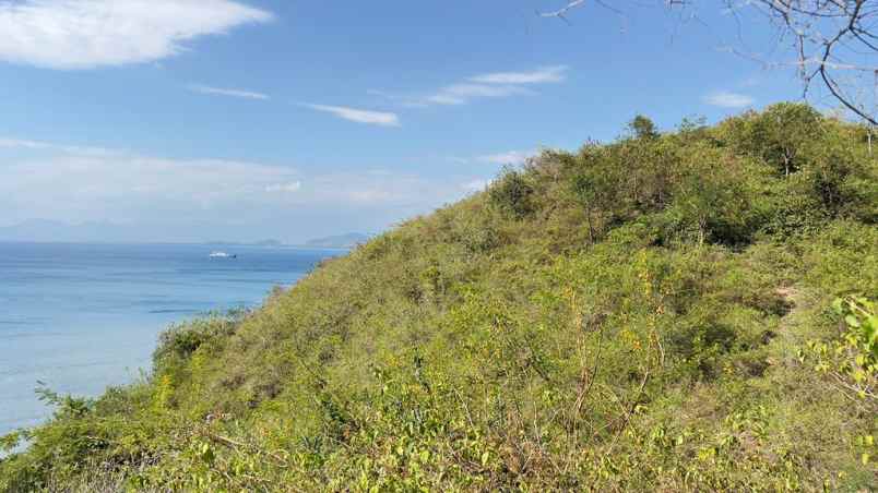 01 dijual tanah bukit di sekotong lombok