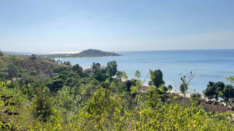 01 dijual tanah bukit di sekotong lombok