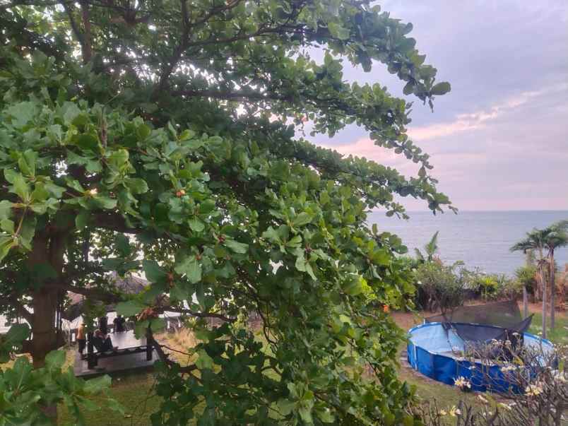 01 dijual villa beach front bali utara
