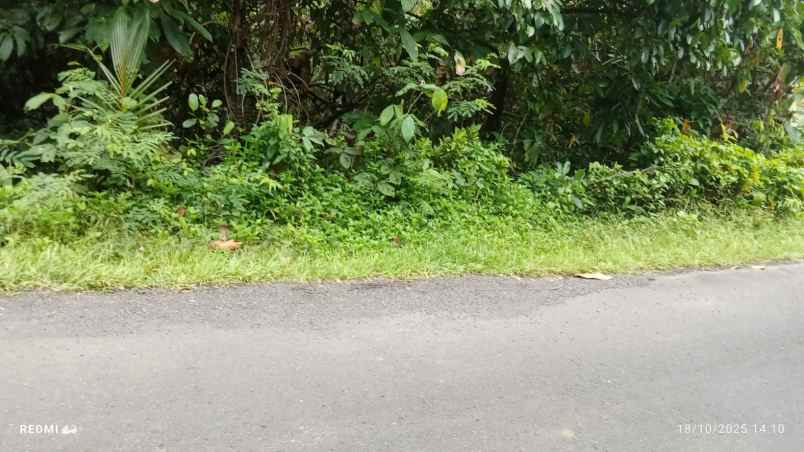 dijual lahan dengan view lembah dan bukit yang indah