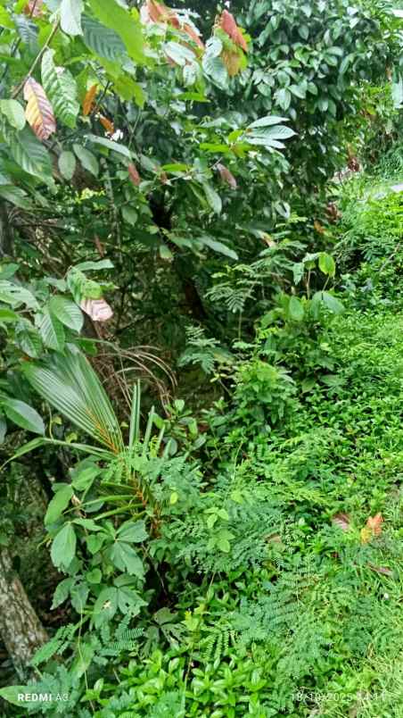 dijual lahan dengan view lembah dan bukit yang indah