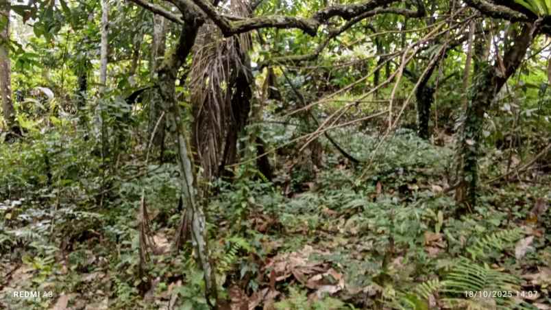 dijual lahan dengan view lembah dan bukit yang indah