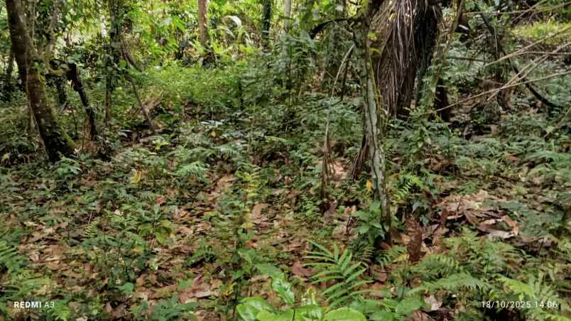 dijual lahan dengan view lembah dan bukit yang indah