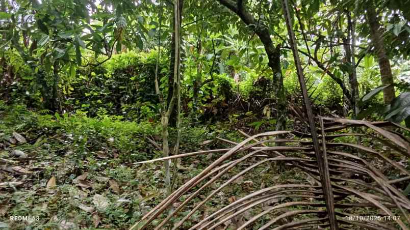 dijual lahan dengan view lembah dan bukit yang indah