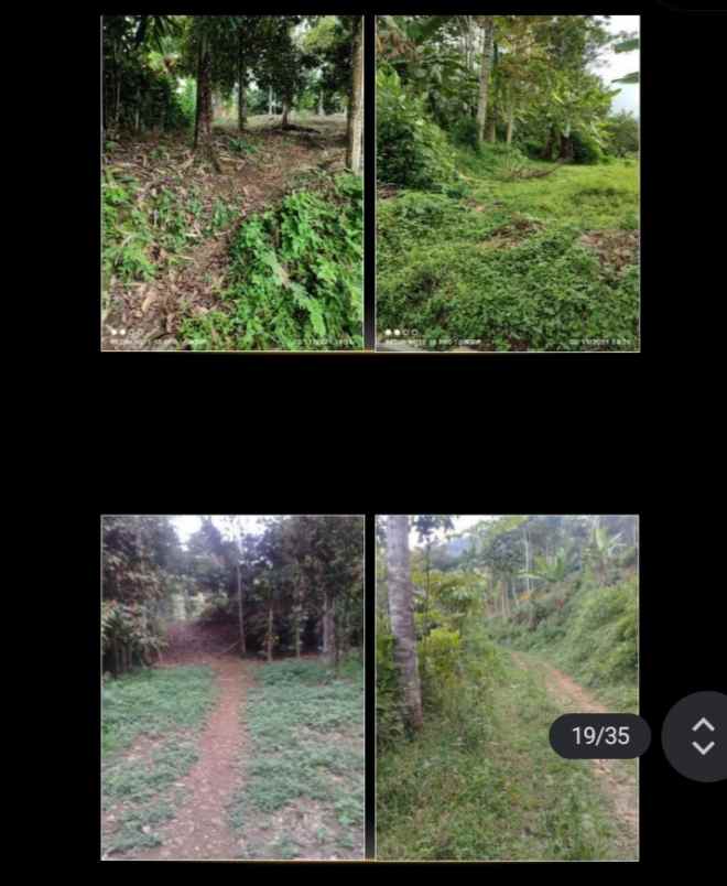 dijual lahan untuk peternakan subang jawa barat