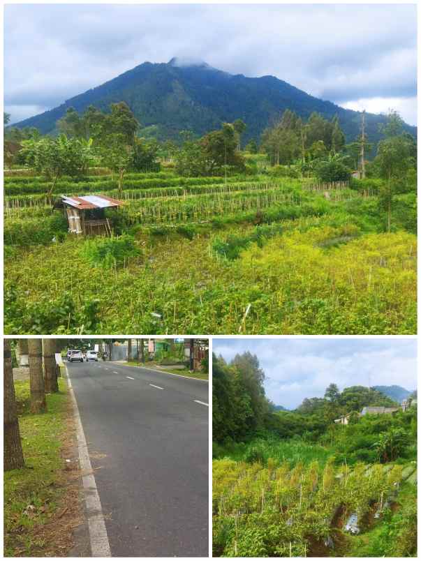 dijual lahan wisata 3 ha kopeng salatiga 400rb m2