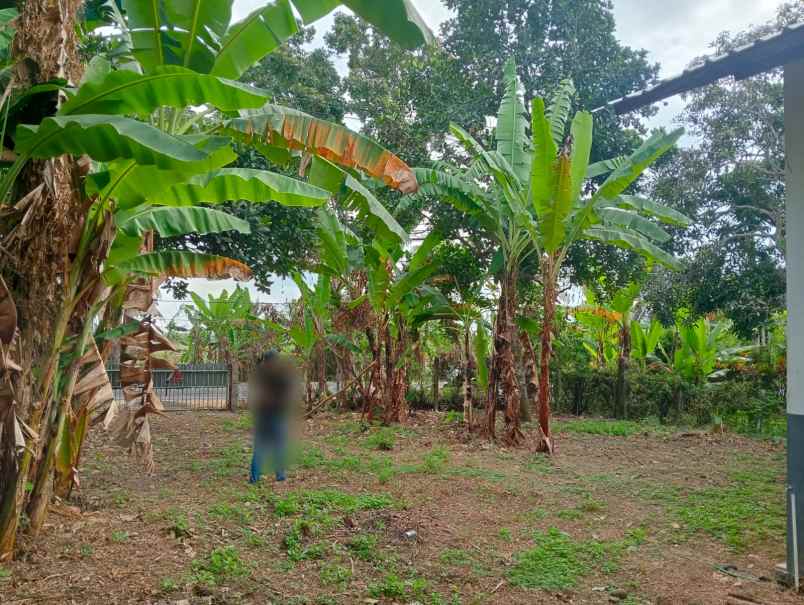 dijual lahan yang berada di zona perdagangan dan jasa