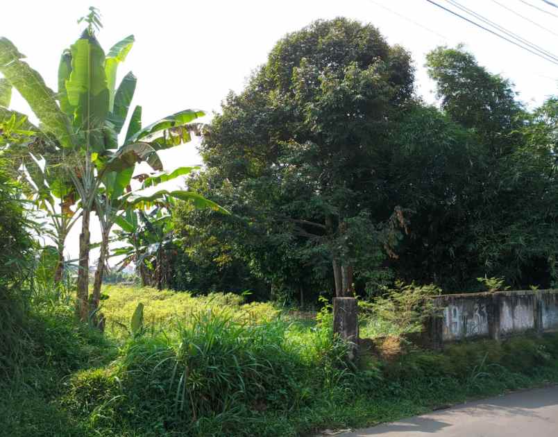 dijual murah di bawah njop tanah dramaga bogor