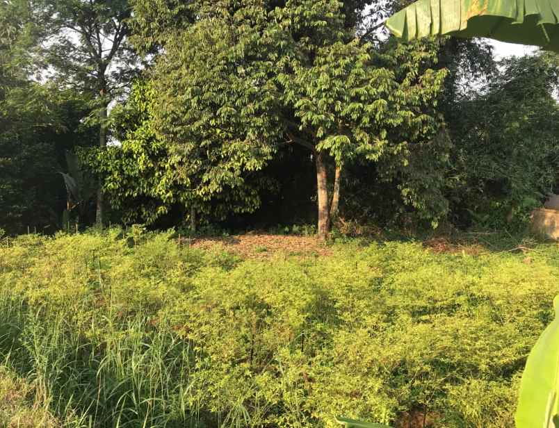 dijual murah di bawah njop tanah dramaga bogor