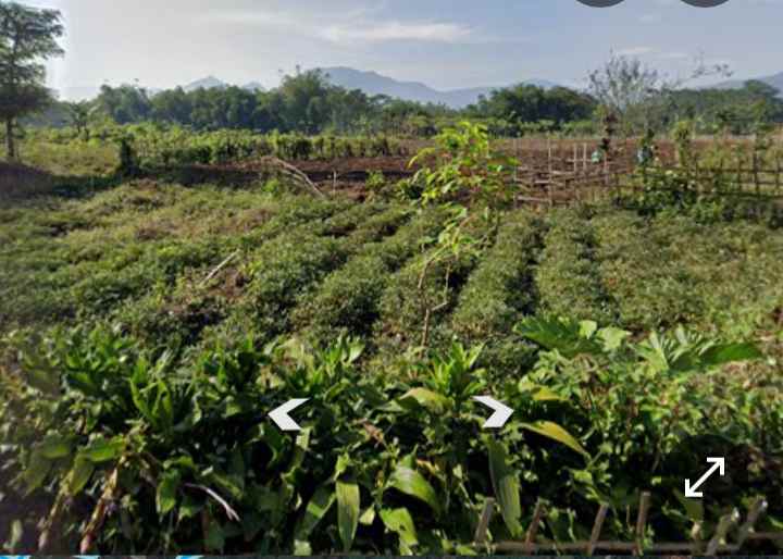 dijual murah lahan bandung selatan ciparay kab bandung