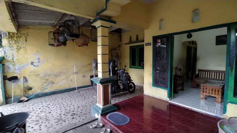dijual perumahan griya mangli jember