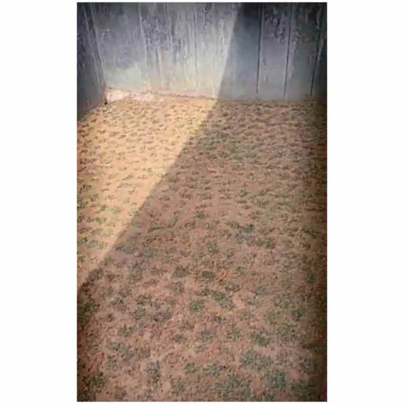 dijual rumah jl semarak 3 bentiring