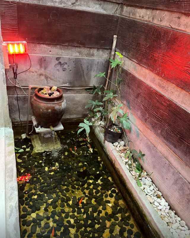 dijual rumah rumah dekat bandara pakis