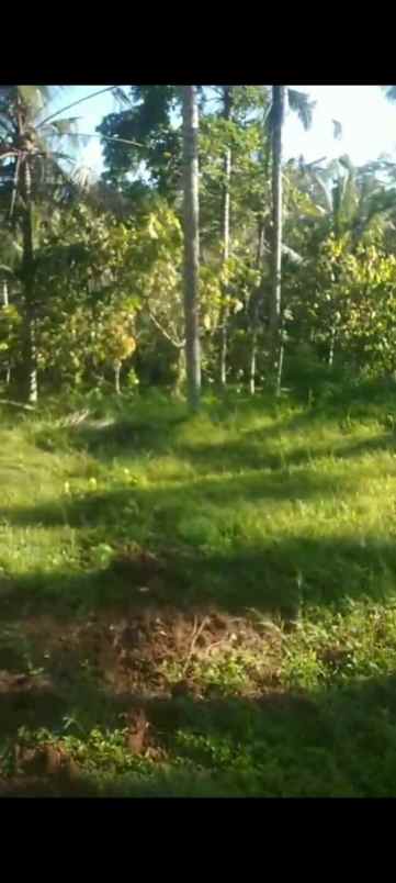dijual tanah banjar dinas munduk desa