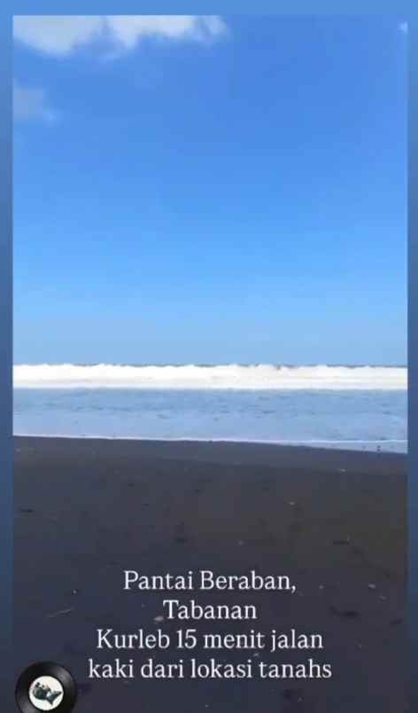 dijual tanah beraban selemadeg tabanan bali