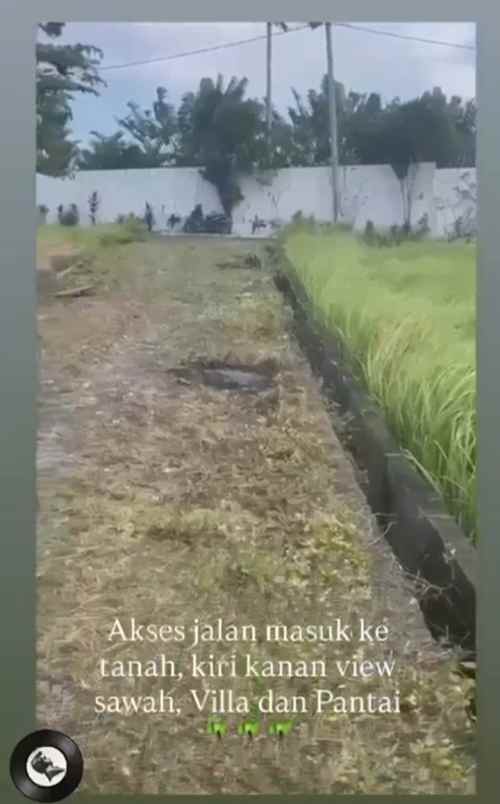 dijual tanah beraban selemadeg tabanan bali