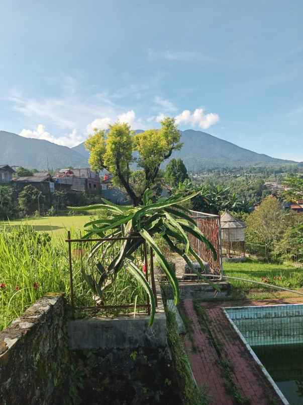 dijual tanah berikut bangunan cisarua puncak bogir