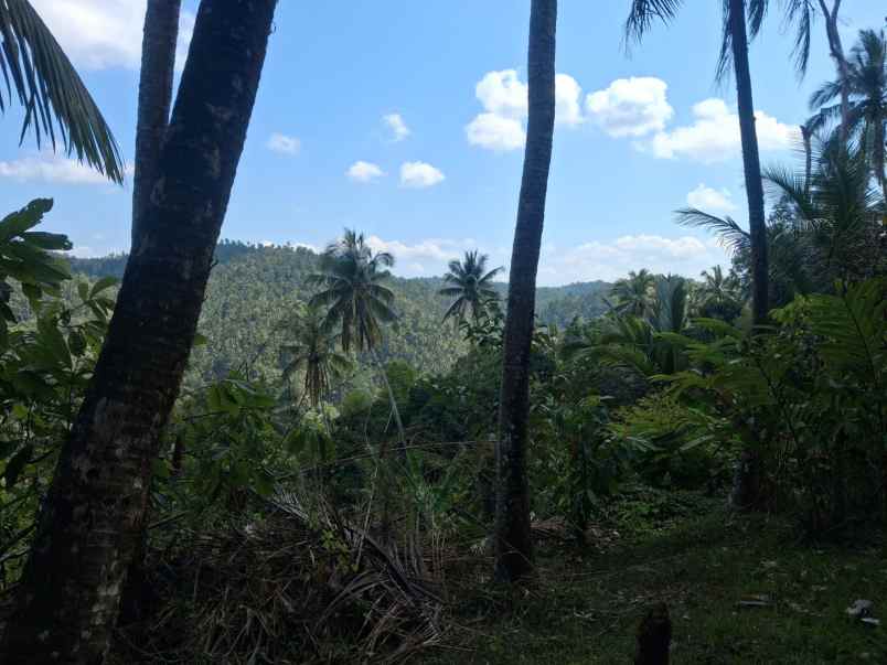 dijual tanah berlokasi di lumbung lokasi strategis